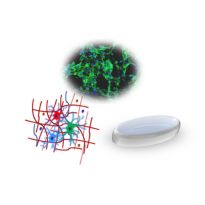 Feeders, Matrices and Cultureware