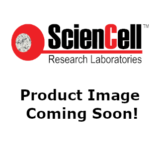 Mouse Cerebellar Granule Cells (MGC) - Relief contrast, 400x.