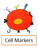 Cell Markers
