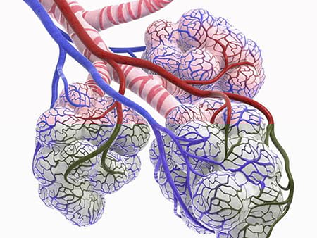 epithelialblog